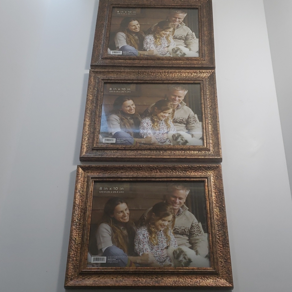 Set of 3 Gold/Cooper 8" x 10" Photo Frame